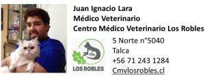 Juan Ignacio Lara - Médico Veterinario